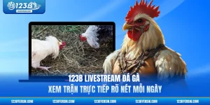 123b Livestream Đá Gà - Xem Trận Trực Tiếp Rõ Nét Mỗi Ngày